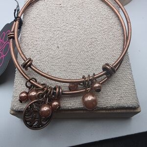 Elegant Copper Charm Bracelet (1199)